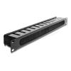 Delock - Verlegetafel für Rack-Kabelmanagement - mit Bürste - Schwarz - 1U - 48.3 cm (19")