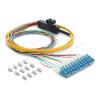 Delock - Fan-out-Kabel - LC / UPC Einzelmodus (M) zu offenes Ende - 1 m - 4.8 mm - Glasfaser - Simplex - 9 / 125 Mikrometer - OS2 - halogenfrei