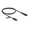 Delock - Stromkabel - USB-C (M) zu 2-polig (M) - 5 V - 1 A - 1.2 m - Schwarz