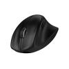 HP 725M - Maus - 21° semi-vertikaler Neigungswinkel - ergonomisch - Für Rechtshänder - 7 Tasten - kabellos - Bluetooth, 2.4 GHz - kabelloser Empfänger (USB) - Schwarz