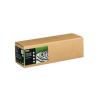 Epson Fine Art II - Baumwolle - matt - 490 Mikron - Glatt-Hell - Rolle (43,2 cm x 15 m) - 300 g / m² - 1 Rolle(n) Box - Faserpapier