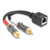 Delock Adapterkabel RJ45 Buchse zu 2 x Cinch Stecker schwarz 20 cm