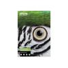 Epson Fine Art - Baumwolle - glatt matt - 490 Mikron - hell - A4 (210 x 297 mm) - 300 g / m² - 25 Blatt Faserpapier - für SureColor SC-P20000, P600, P6000, P700, P7000, P800, P8000, P900, P9000