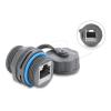 Delock - Netzwerkkoppler - RJ-45 (W) zu RJ-45 (W) - abgeschirmt - CAT 6a - innen / außen - Grau